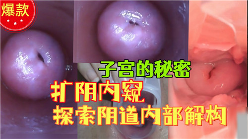 子宫深处秘密：扩阴内窥激情窥探阴道内部结构
