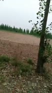 【国产馆】喜欢玩刺激的超美女神小女子梦梵和炮友到大豆地里野战再到公厕里啪啪